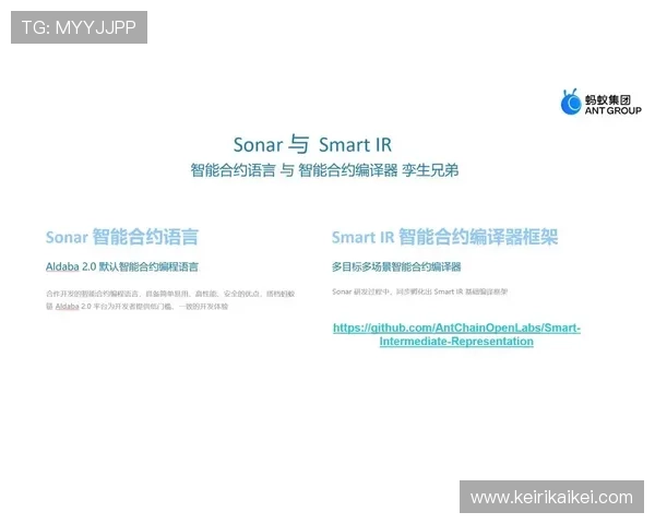 解析ag真人网登录线路的安全性问题，确保您的账户信息安全无忧